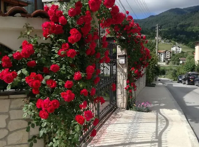 Benita Guest house Devin